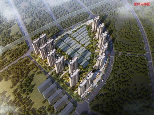 2020年張家界房地產(chǎn)開(kāi)發(fā)投資增幅躍居全省第一，物業(yè)管理同步升級(jí)